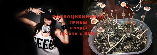 гидра Алексин