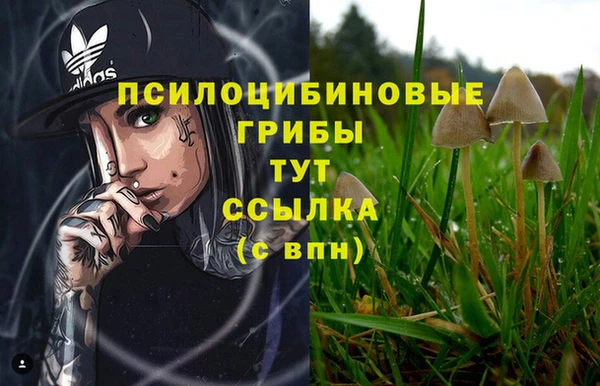 дмт Алексеевка