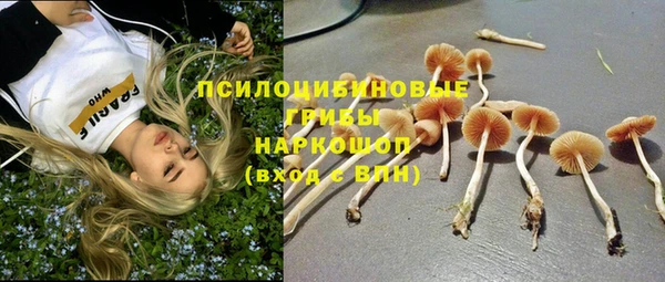 гашик Алзамай