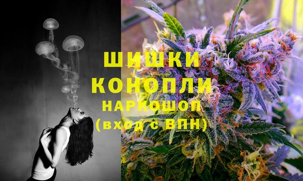 гашик Алзамай