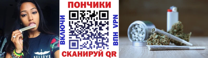 Бошки Шишки семена  наркотики  Гдов 